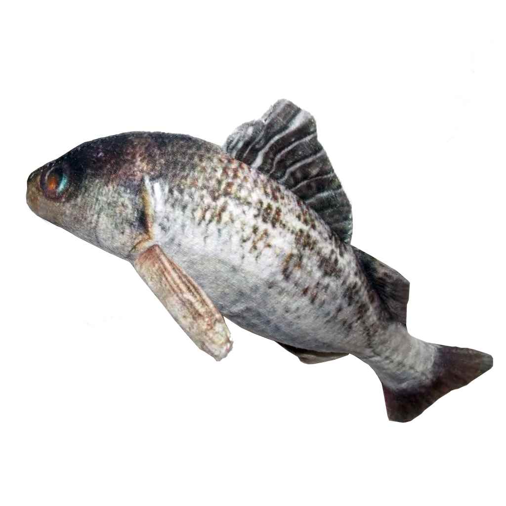 EASTLAND PELUŞ OYN. LEVREK 20 CM 