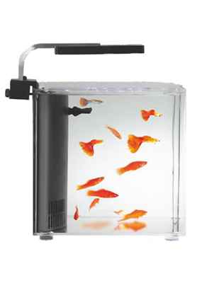 AQUASYNCRO CLARİTY NANO AKVARYUM 20X20X25