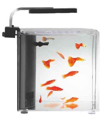 AQUASYNCRO CLARİTY NANO AKVARYUM 24X24X25