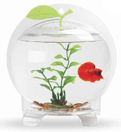 RESUN FANCY APPLE 21x11x22