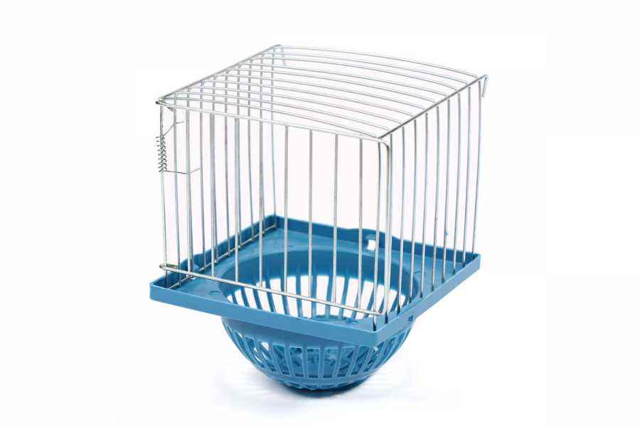 Kanarya Dış Yuvası 5