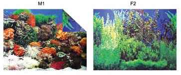 PLS.POSTER 48 CM 15 MT