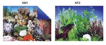 PLS.POSTER 48 CM 15 MT 