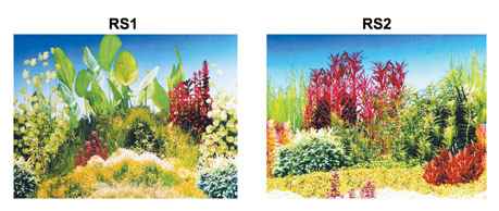 PLS.POSTER 48 CM 15 MT