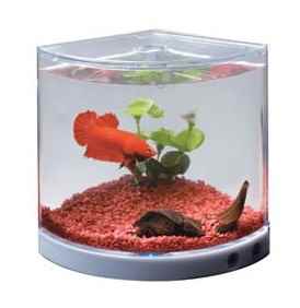 DOPHİN BETALIK DÖNER RENKLİ IŞIKLI ADAPTÖRLÜ