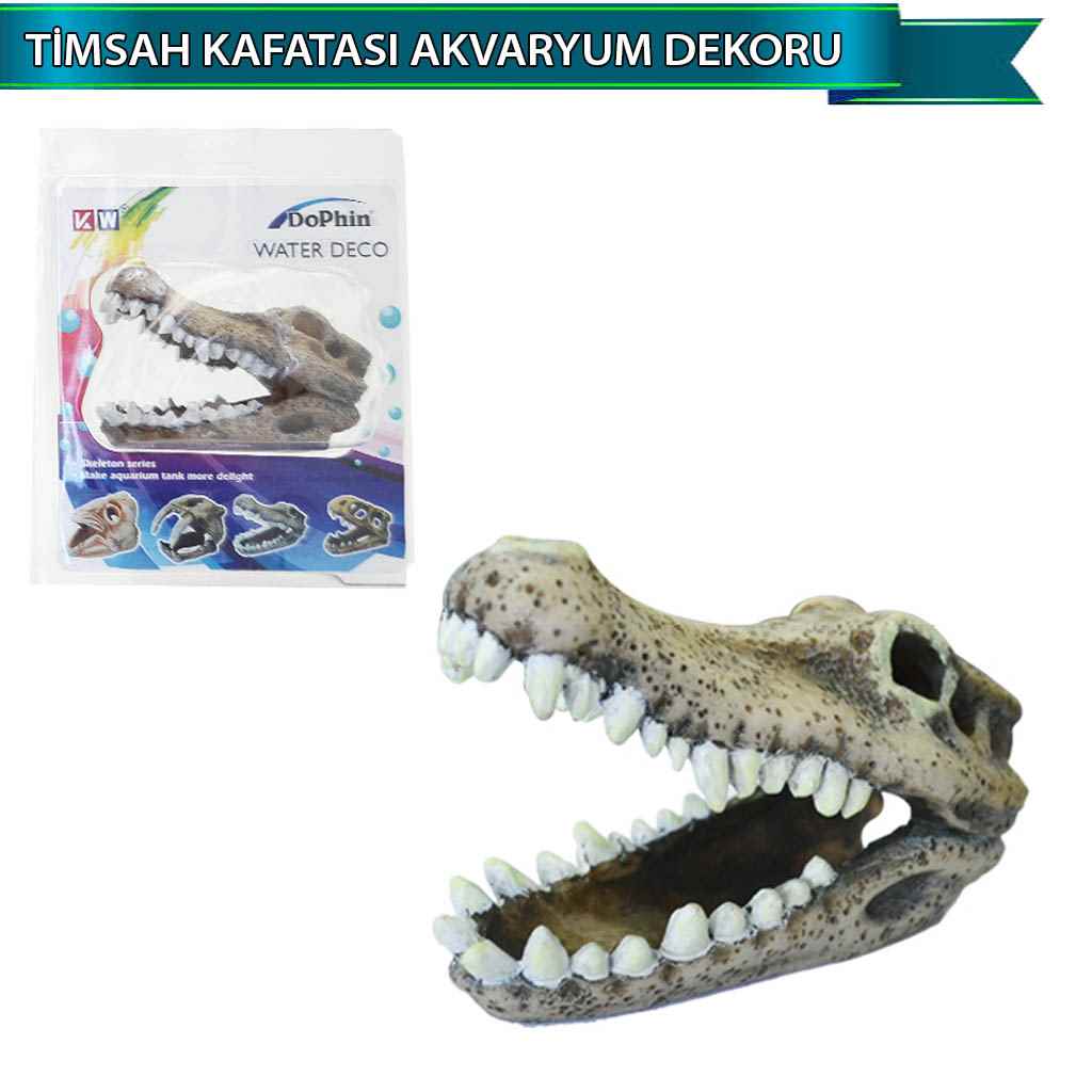 DOPHİN TİMSAH KAFATASI AKVARYUM DEKORU