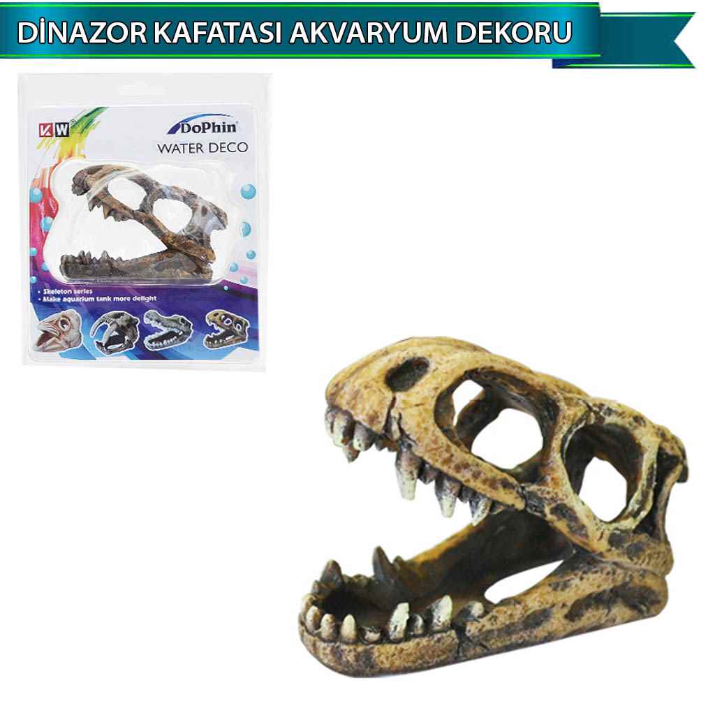 DOPHİN DİNAZOR KAFATASI AKVARYUM DEKORU