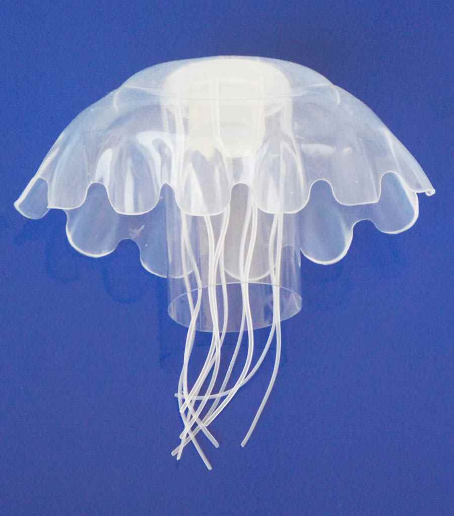 DENİZ ANASI AKVARYUM SÜSÜ (İPSİZ)