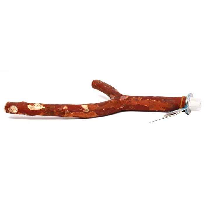 Papağan Tüneği Dal (Naturel)