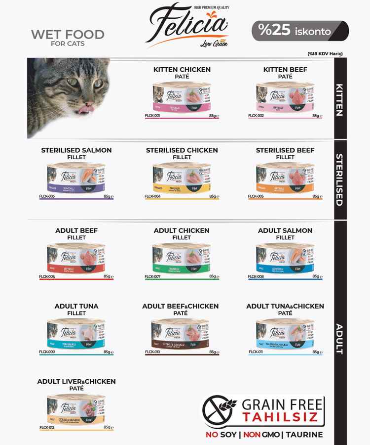 Felicia Konserve Lansman Seti