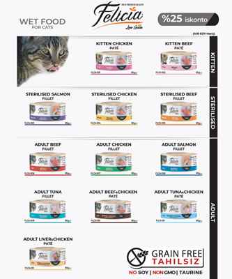 Felicia Konserve Lansman Seti