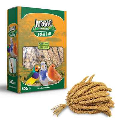 Jungle Doğal Darı 500 gr.