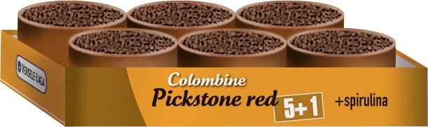 VL COL.PICKSTONE RED 5+1 GÜVERCÜN MİNERAL DEST.6LI