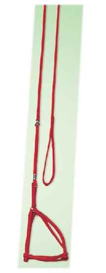 PERCELL KÖPEK BEL TASMA İPTEN