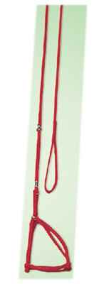 PERCELL KÖPEK BEL TASMA İPTEN