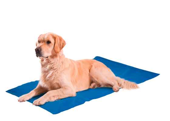 Karlie SOĞUTUCU MAT L 90X50CM MAVİ 