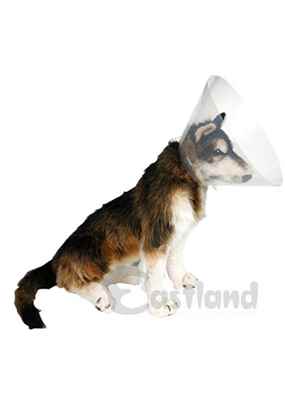 EASTLAND YAKALIK (ELİZABET) 25 CM