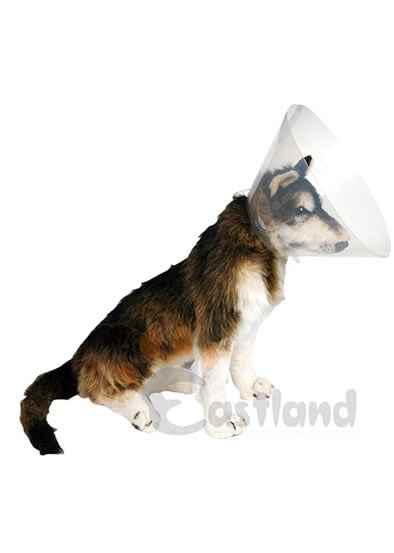 EASTLAND YAKALIK(ELİZABET) 30 CM