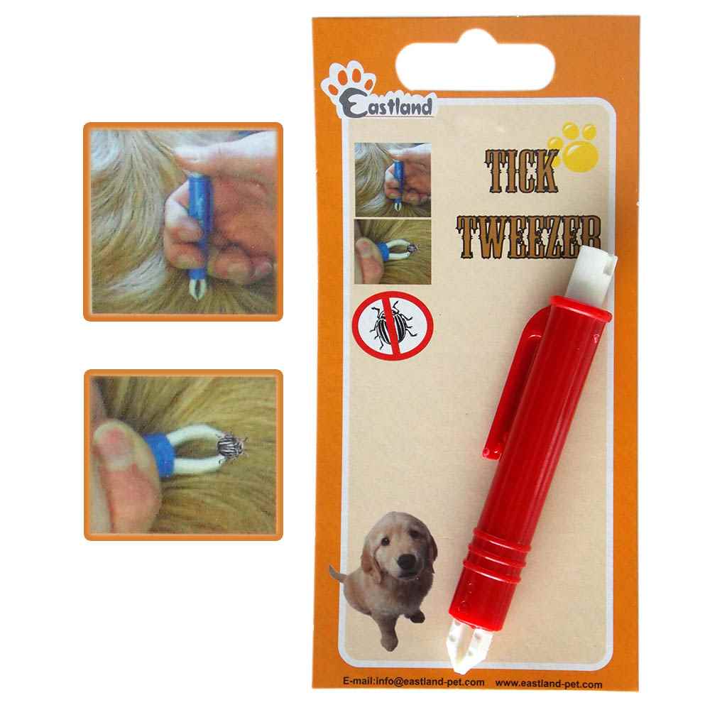 EASTLAND KENE CIMBIZI 