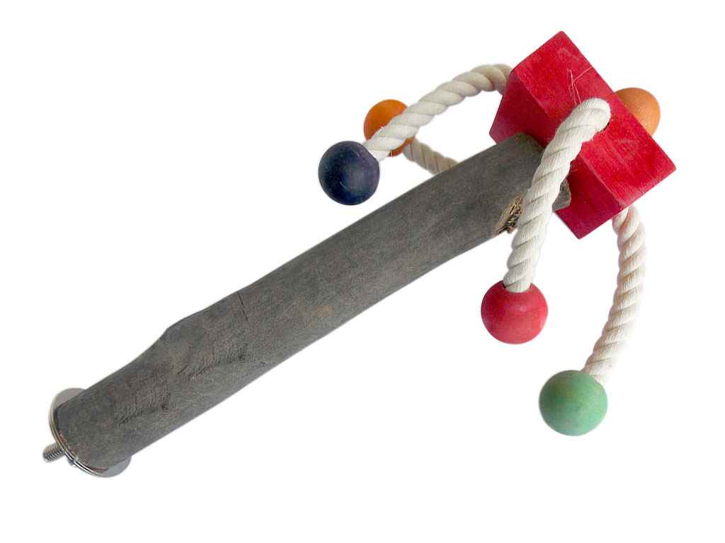 EASTLAND PAPAĞAN TÜNEĞİ ORTA