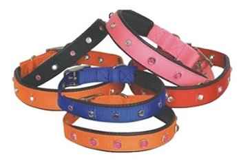 GARDENMİX TASMA SOFT DESENLİ (L)