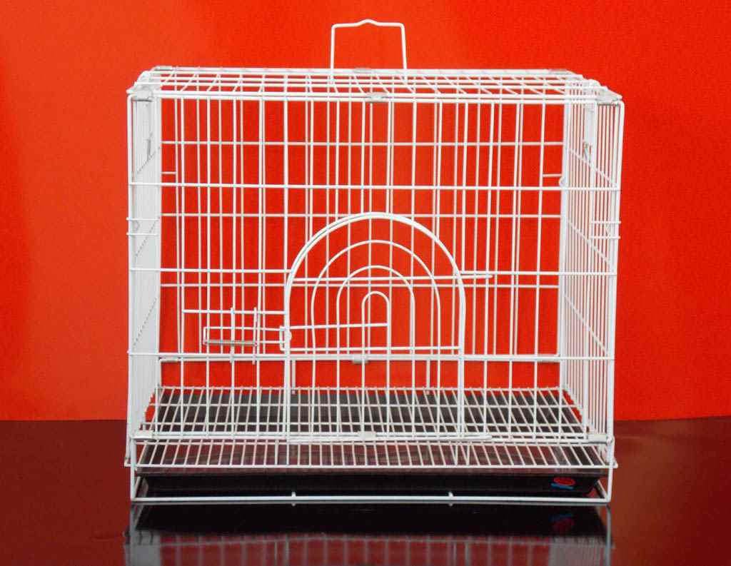 DAYANG KÖPEK KAFESİ  60x43x50