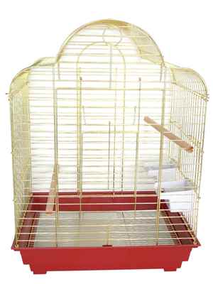 DAYANG PAPAĞAN KAFESİ     52x41x71