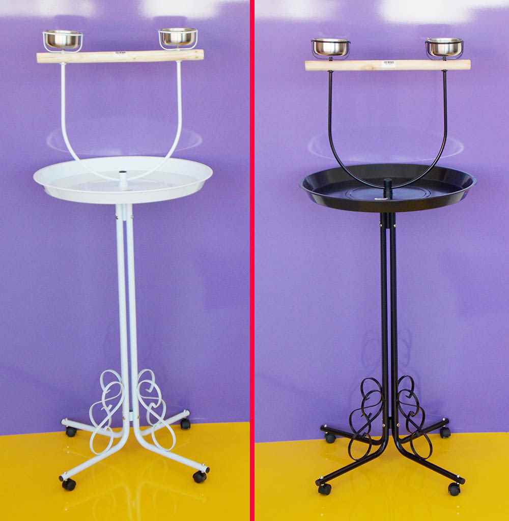 DAYANG PAPAĞAN EĞİTİM SEHBASI     56X138