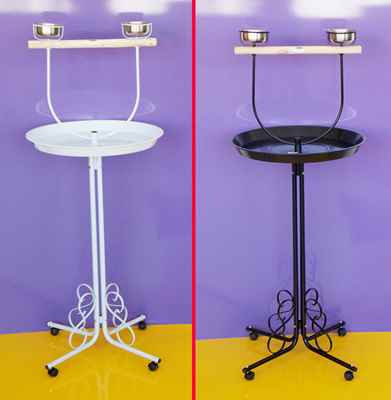 DAYANG PAPAĞAN EĞİTİM SEHBASI     56X138