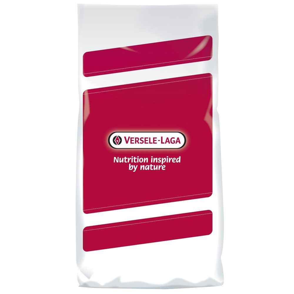 VERSELE LAGA KONDİSYON TOHUMU 20 KG