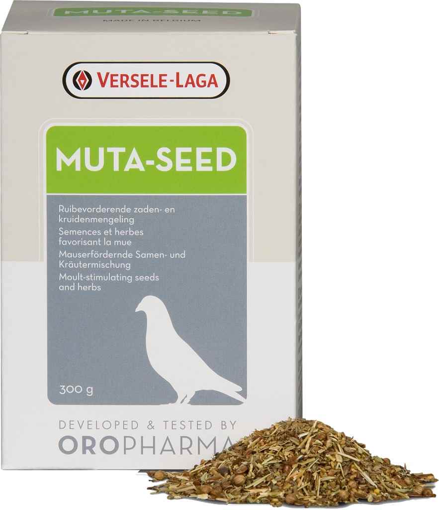 V.LAGA OR.MUTA-SEED GÜV(TÜYLENME SEZONU TOHUM KARŞ