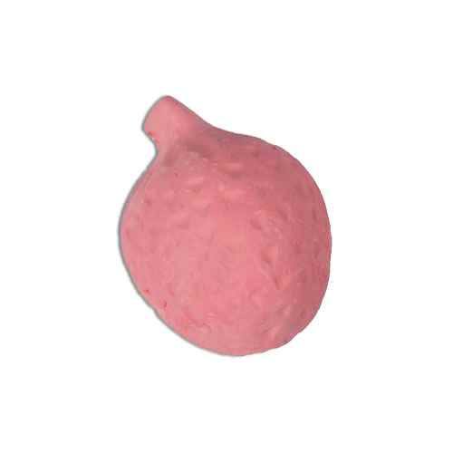 Karlie KEMİRME TAŞI ÇİLEK 25GR