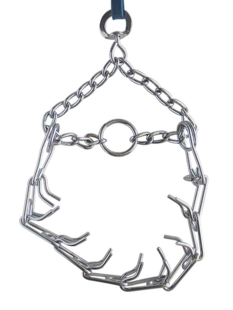 EASTLAND EĞİTİM TASMASI M