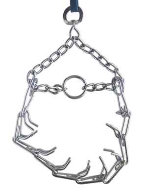 EASTLAND EĞİTİM TASMASI M