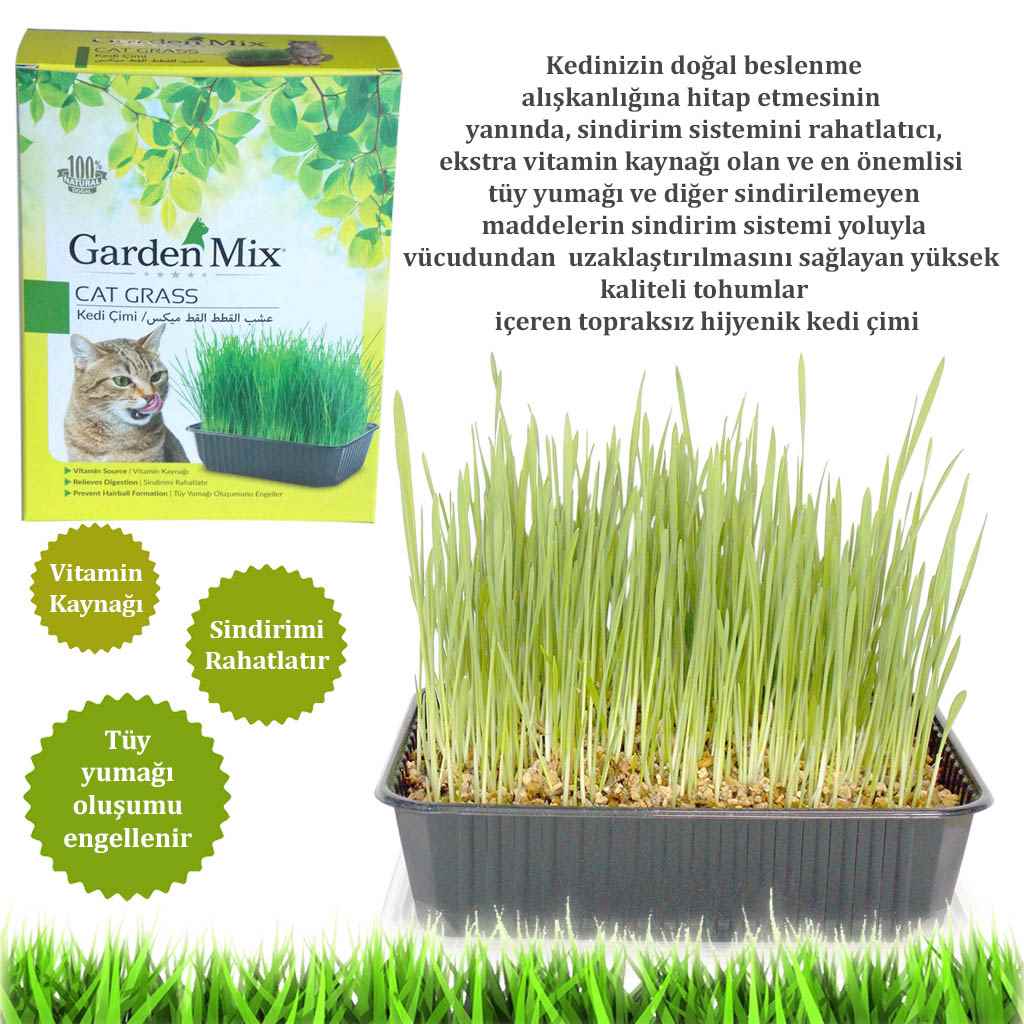 GARDENMİX KEDİ ÇİMİ 