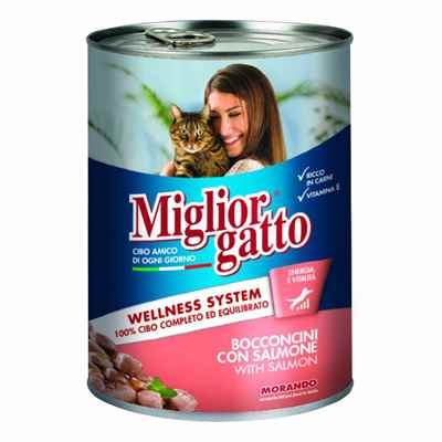 MIGLIOR GATTO KEDİ KONSERVE SOMON BALIKLI 405 GR