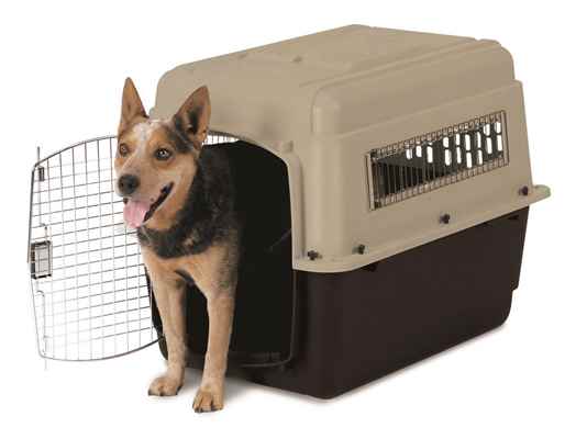 Petmate Ultra Vari Kennel Taşıma Kafesi No:5 (82 x 58 x 61cm)