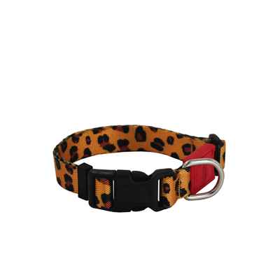 DESENLİ KÖPEK BOYUN TASMASI (S) 02