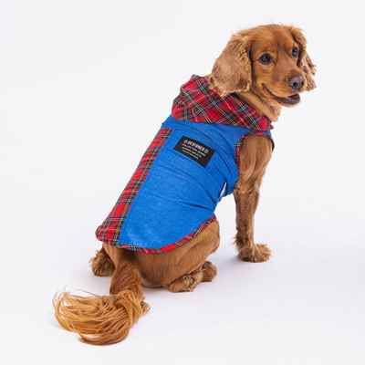 Denim & Plaid Shirt (6'lı Set)