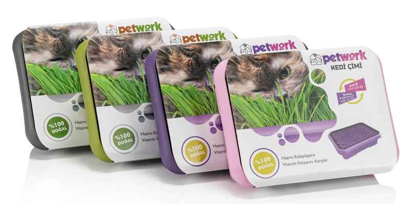 Petwork Kedi Çimi (10'LU PAKET)