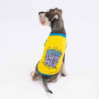 Yellow Hello Summer T-Shirt (6'lı Set)