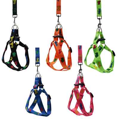 KÖPEKLER İÇİN DESENLİ GÖĞÜS+GEZDİRME TASMASI 2,5CM