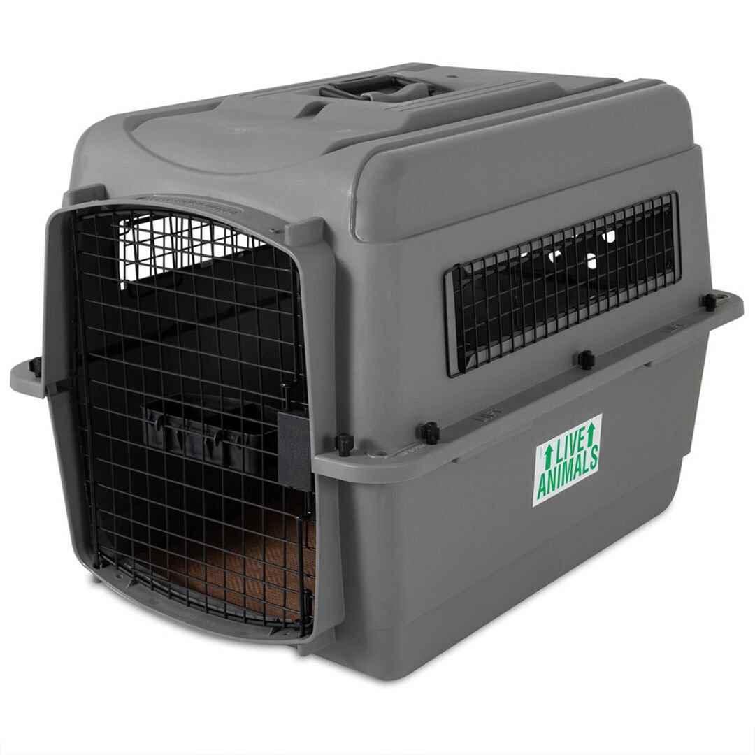 Petmate Sky Kennel Taşıma Kafesi No:4 (72 x 52 x 55cm)