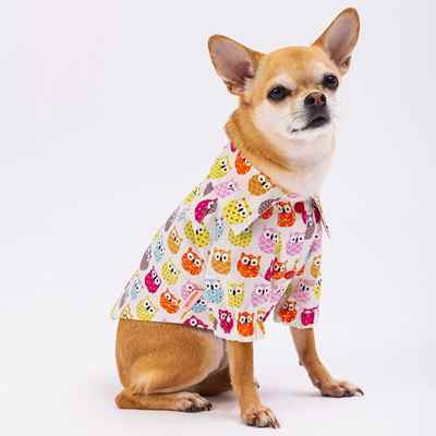 Owls Shirt (5'li Set)