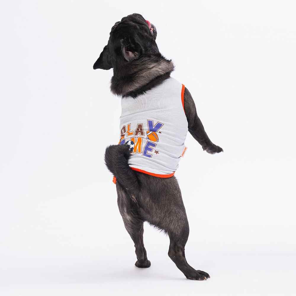 Grey Sporty  T-Shirt (6