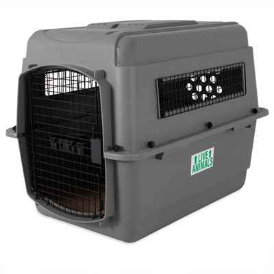 Petmate Sky Kennel Taşıma Kafesi No:5 (82 x 58 x 61cm)