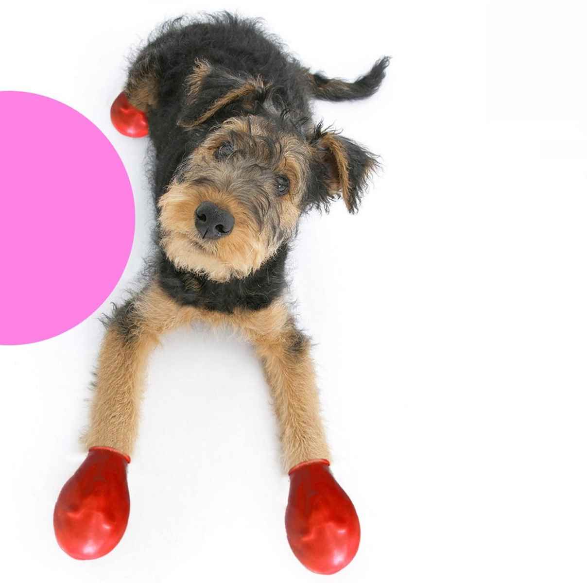 Walkies Galoş Patik L Kırmızı