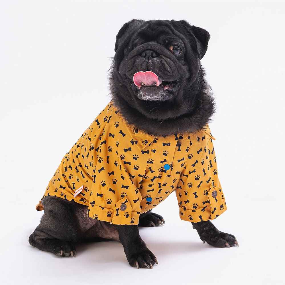 Mustard Ossa Shirt (5