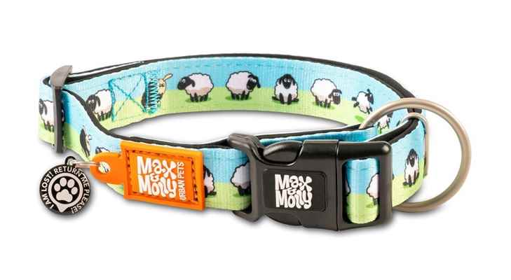 Max & Molly Smart ID Black Sheep Boyun Tasması-Large