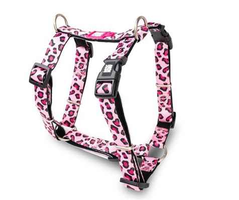 Max & Molly Leopard Pink Göğüs Tasması-Xsmall